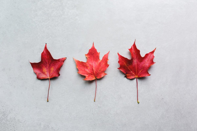 canadian - Wabi Sabi
