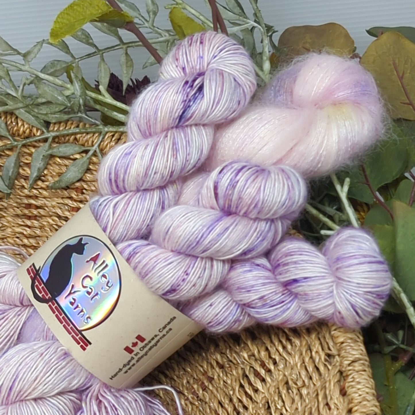 birds of a feather kits