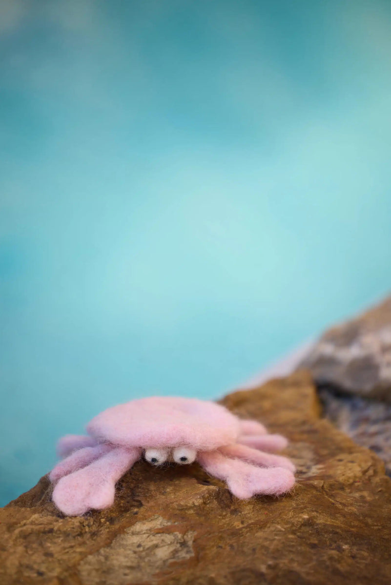 ' ' Feelin’ a Little Crabby Felting Kits by meervilt! | Wabi Sabi