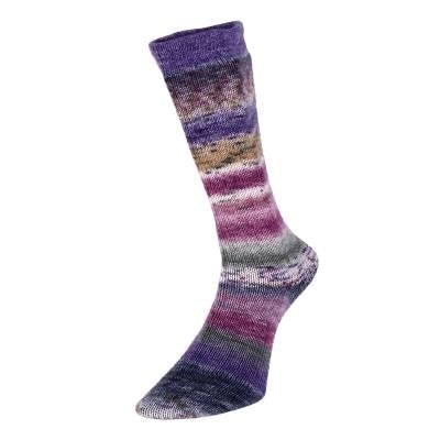 '04 grape ' evolution: celebration sock by estelle yarns | Wabi Sabi