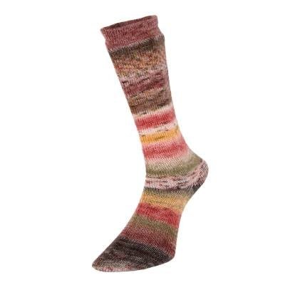 '05 sunrise ' evolution: celebration sock by estelle yarns | Wabi Sabi