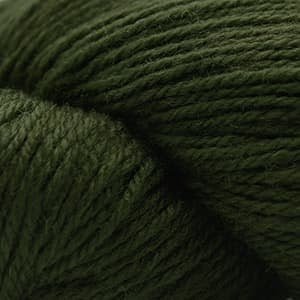 '15 kale ' BFL by cascade yarns | Wabi Sabi