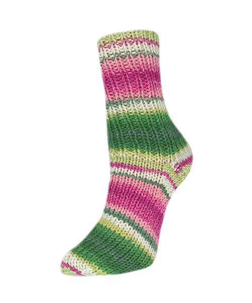 15 sprout flotte socke papagei by rellana garne at Wabi Sabi