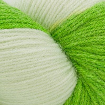 304 lime