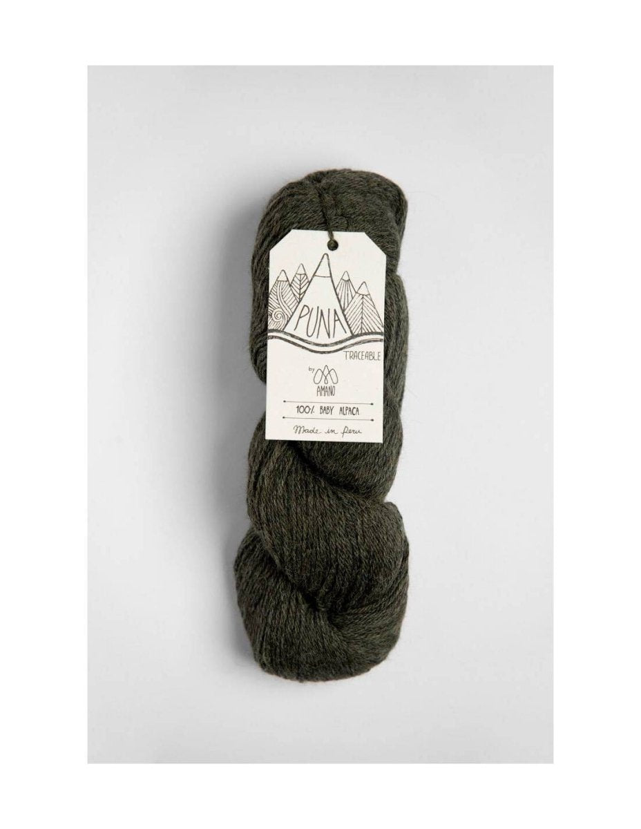 4105 ferm puna by amano yarns at Wabi Sabi