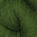 'algae ' coast by baa ram ewe | Wabi Sabi