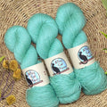 Aqua ontario sock by alley cat yarns at Wabi Sabi