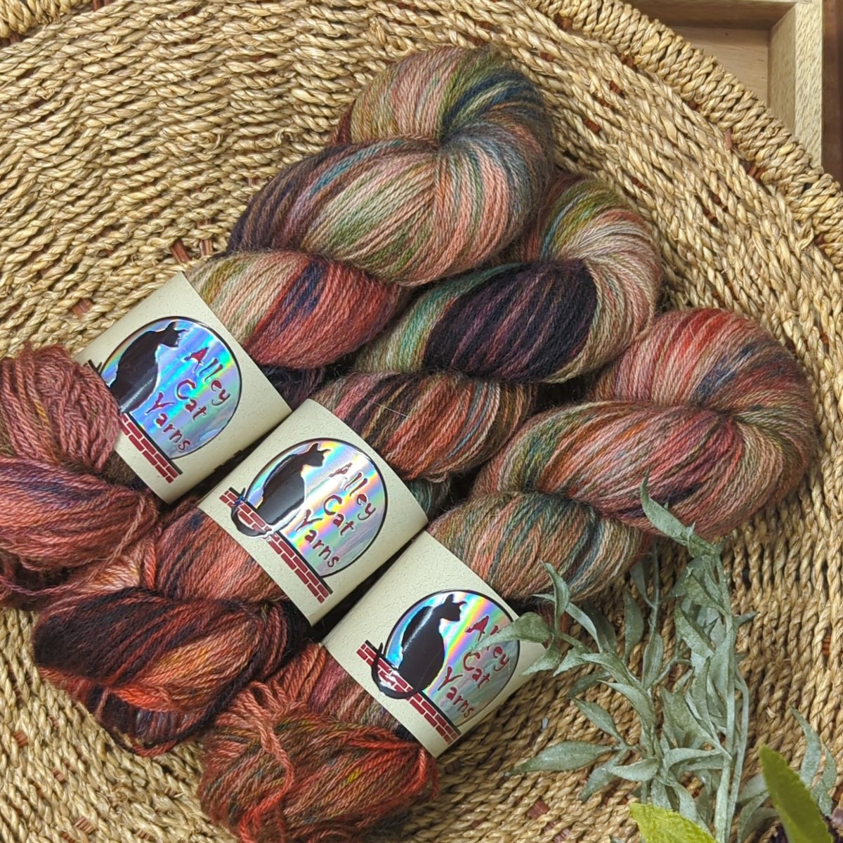 'asteroid ' ontario sock by alley cat yarns | Wabi Sabi