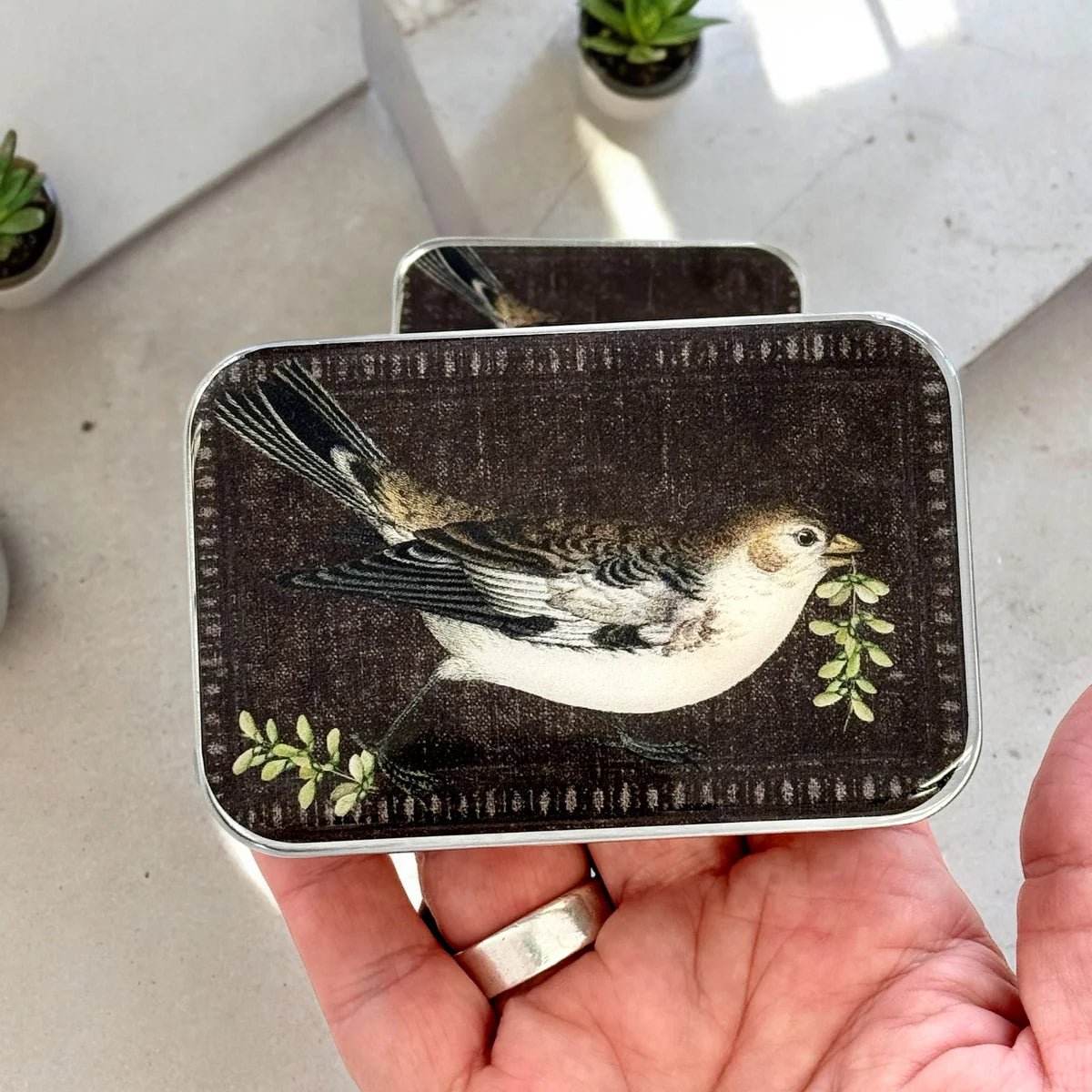 'bird ' notion tins by firefly notes | Wabi Sabi