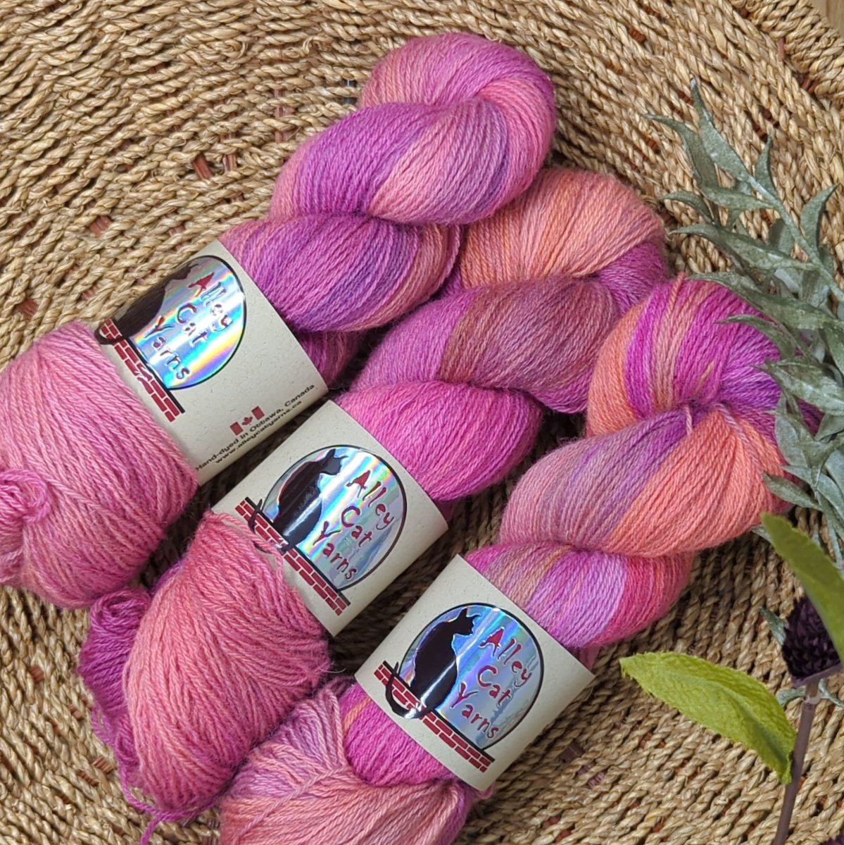 'bonita ' ontario sock by alley cat yarns | Wabi Sabi