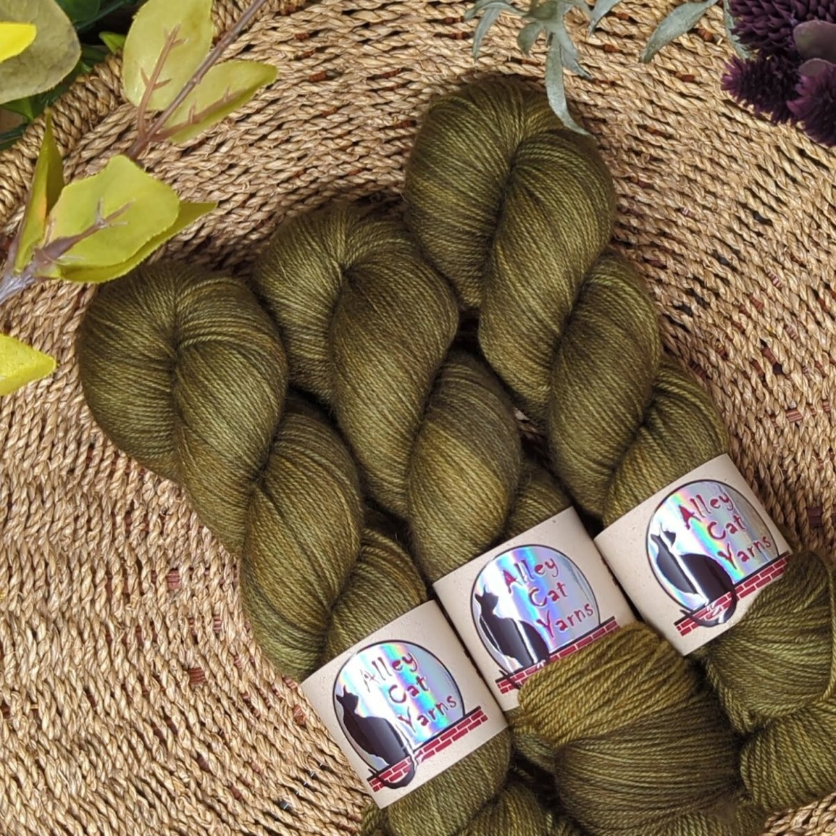 bronze green leo bfl sock by alley cat yarns at Wabi Sabi