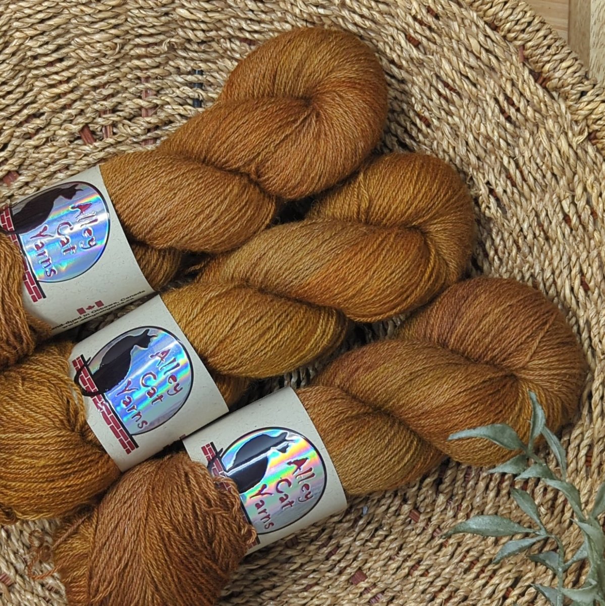 'caramel ' ontario sock by alley cat yarns | Wabi Sabi