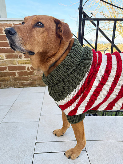 christmas elf dog sweater