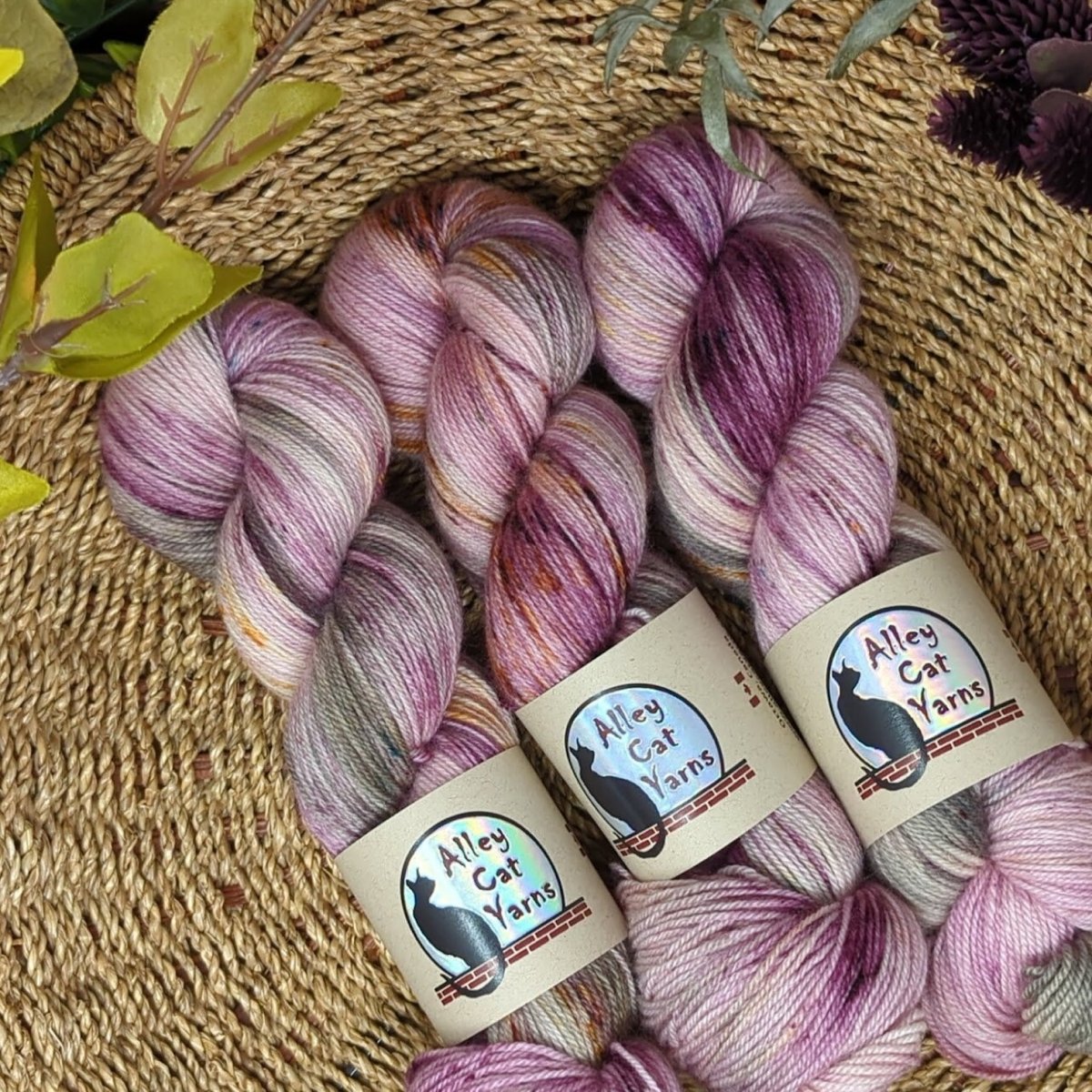 chronology leo bfl sock by alley cat yarns at Wabi Sabi