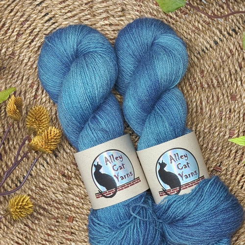 Coast ontario sock by alley cat yarns at Wabi Sabi