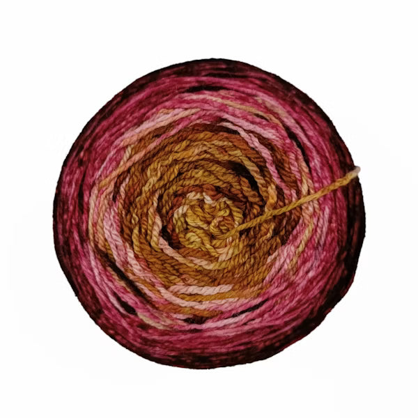 metamorphosis sock