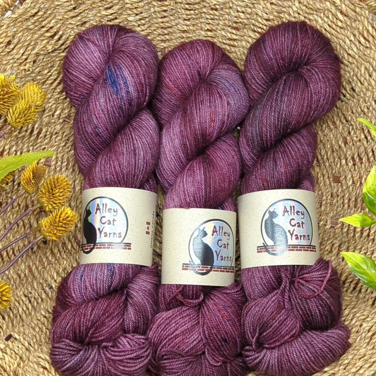 Coronation leo bfl by alley cat yarns at Wabi Sabi