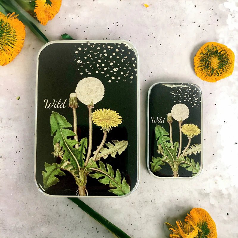dandelion notion tins by firefly notes at Wabi Sabi