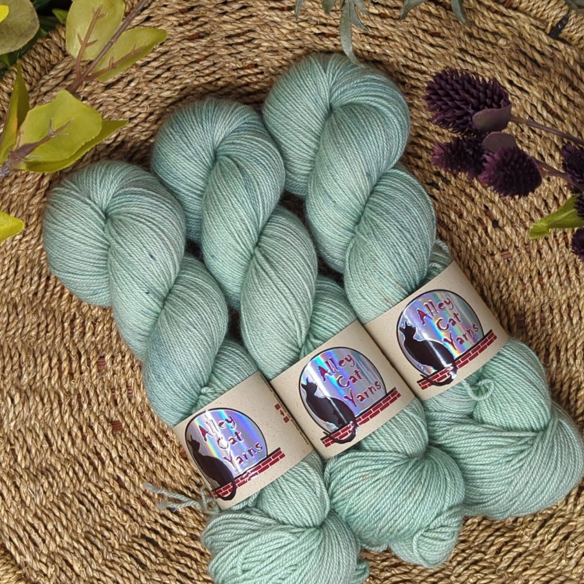 downy leo bfl sock by alley cat yarns at Wabi Sabi