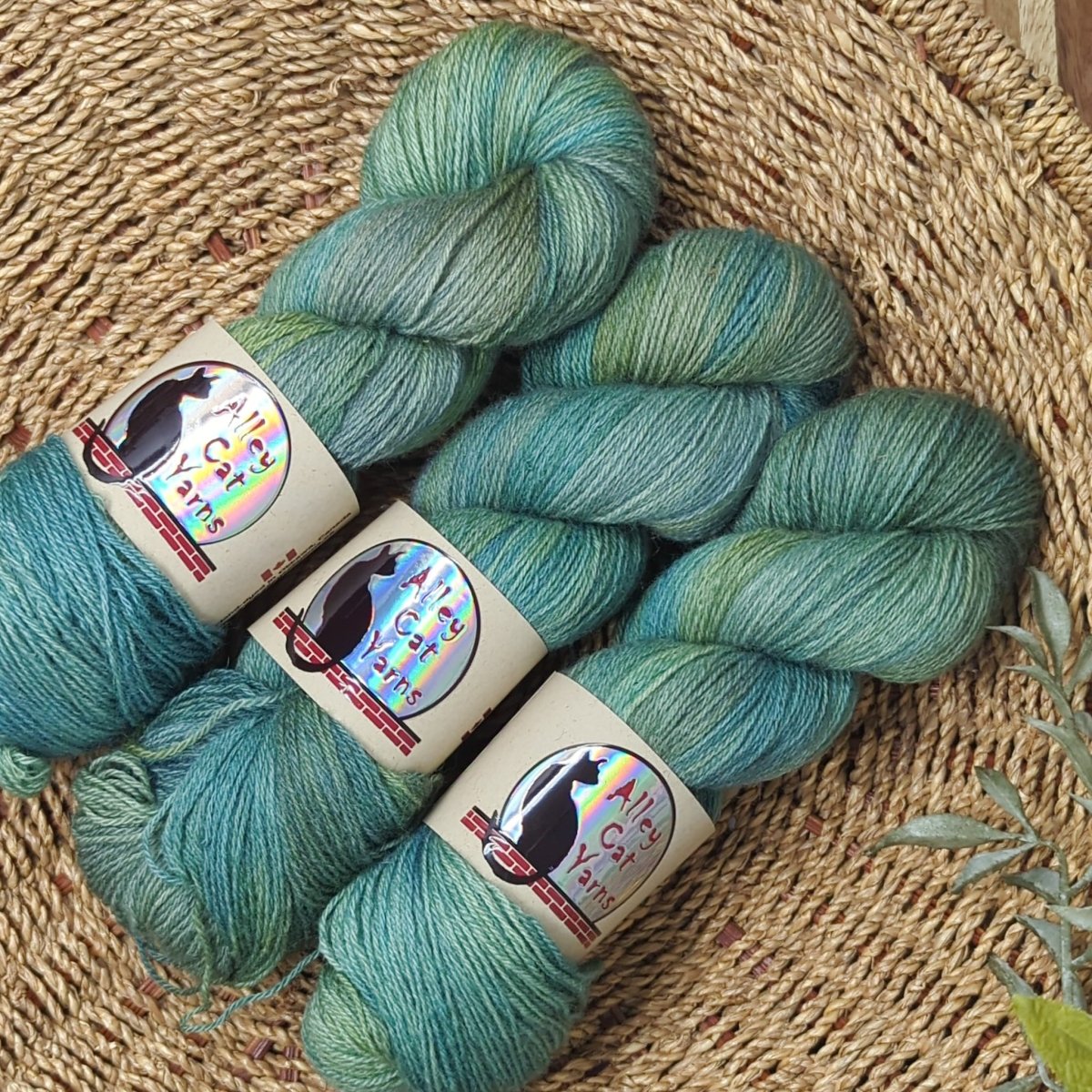 'forage ' ontario sock by alley cat yarns | Wabi Sabi