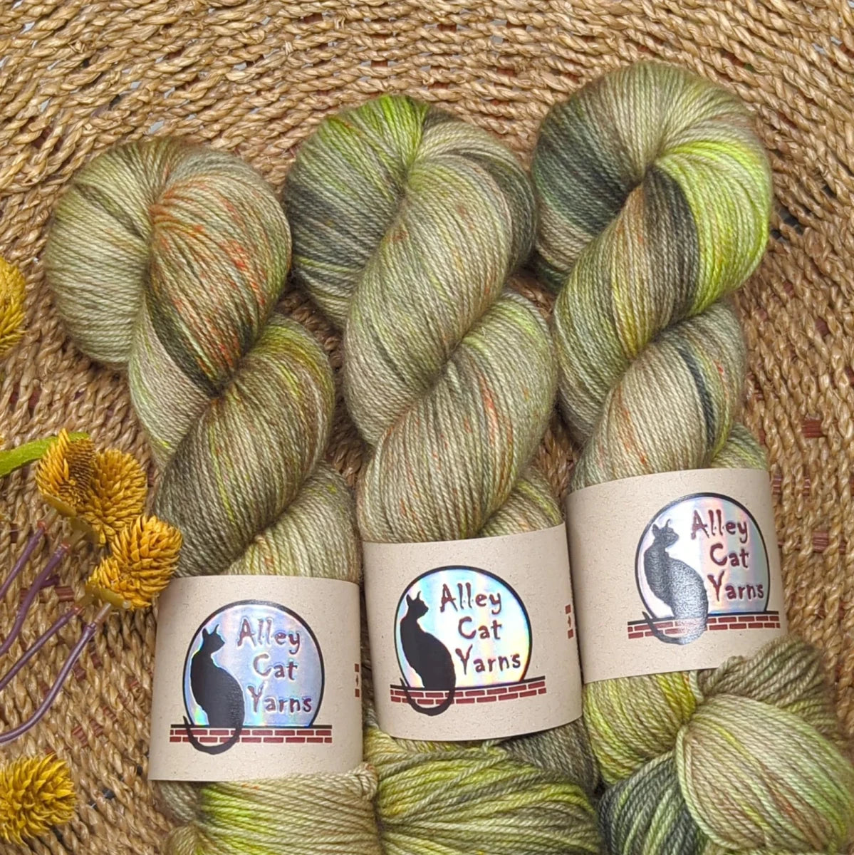 Grange leo bfl by alley cat yarns at Wabi Sabi