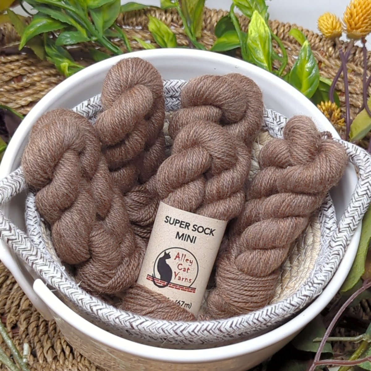 Hickory super sock minis by alley cat yarns at Wabi Sabi