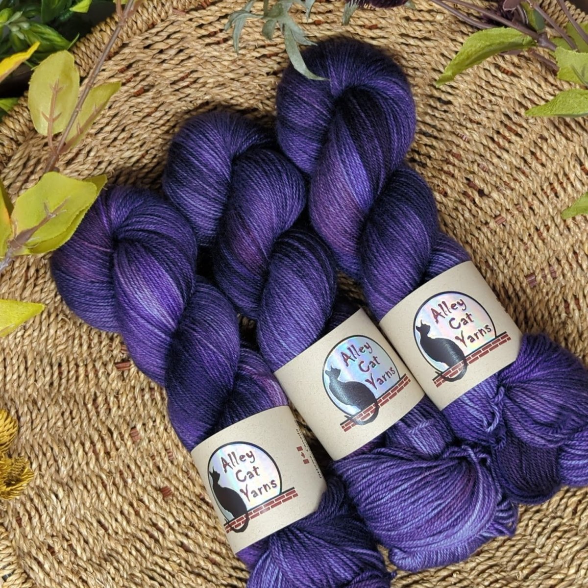 iris leo bfl sock by alley cat yarns at Wabi Sabi