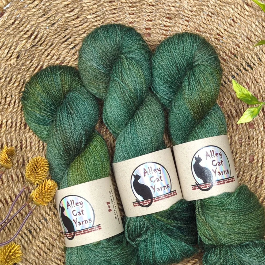 Jade ontario sock by alley cat yarns at Wabi Sabi