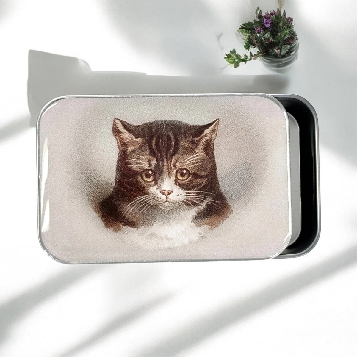 kitty notion tins by firefly notes at Wabi Sabi