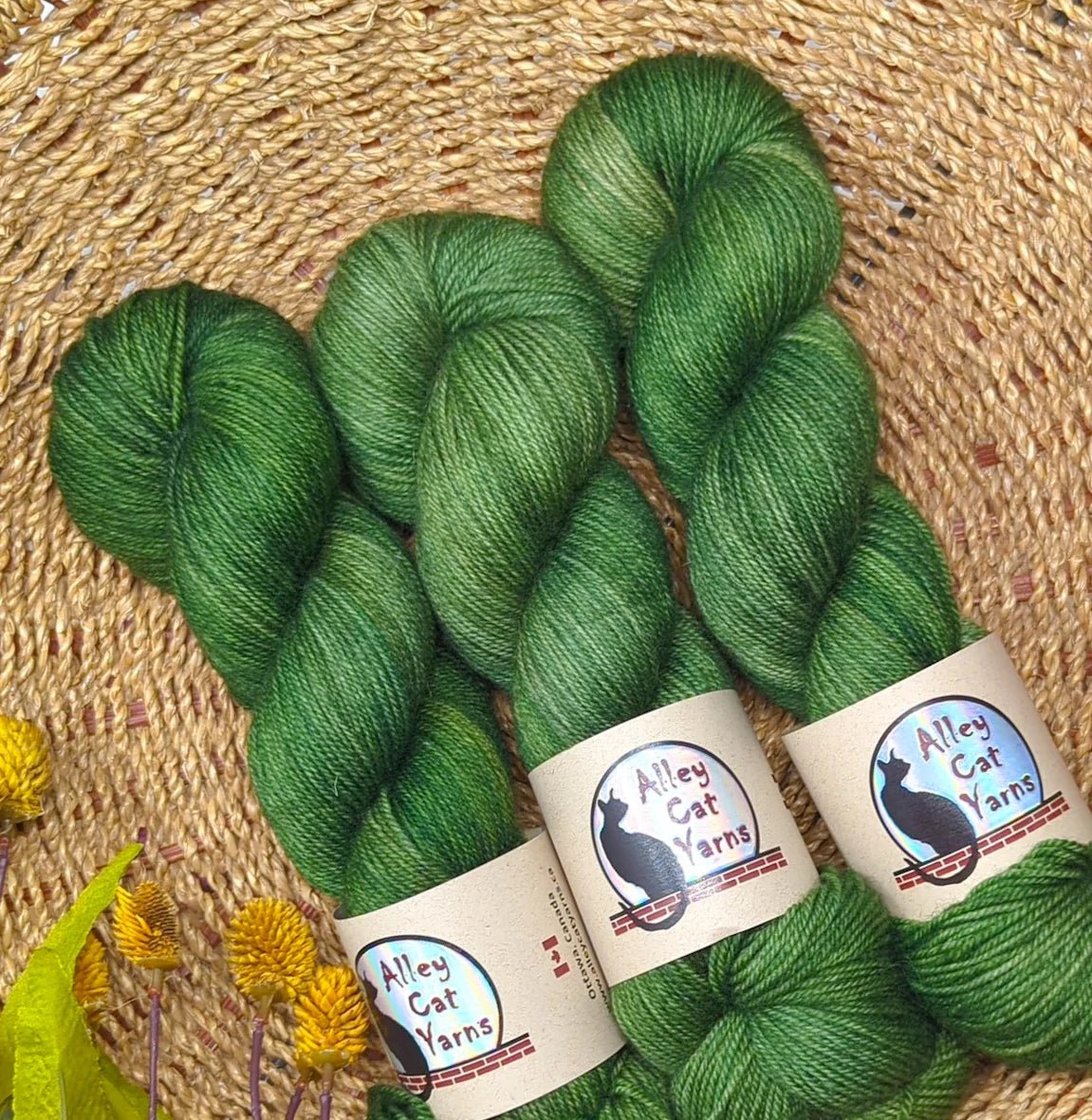 Knoll leo bfl by alley cat yarns at Wabi Sabi
