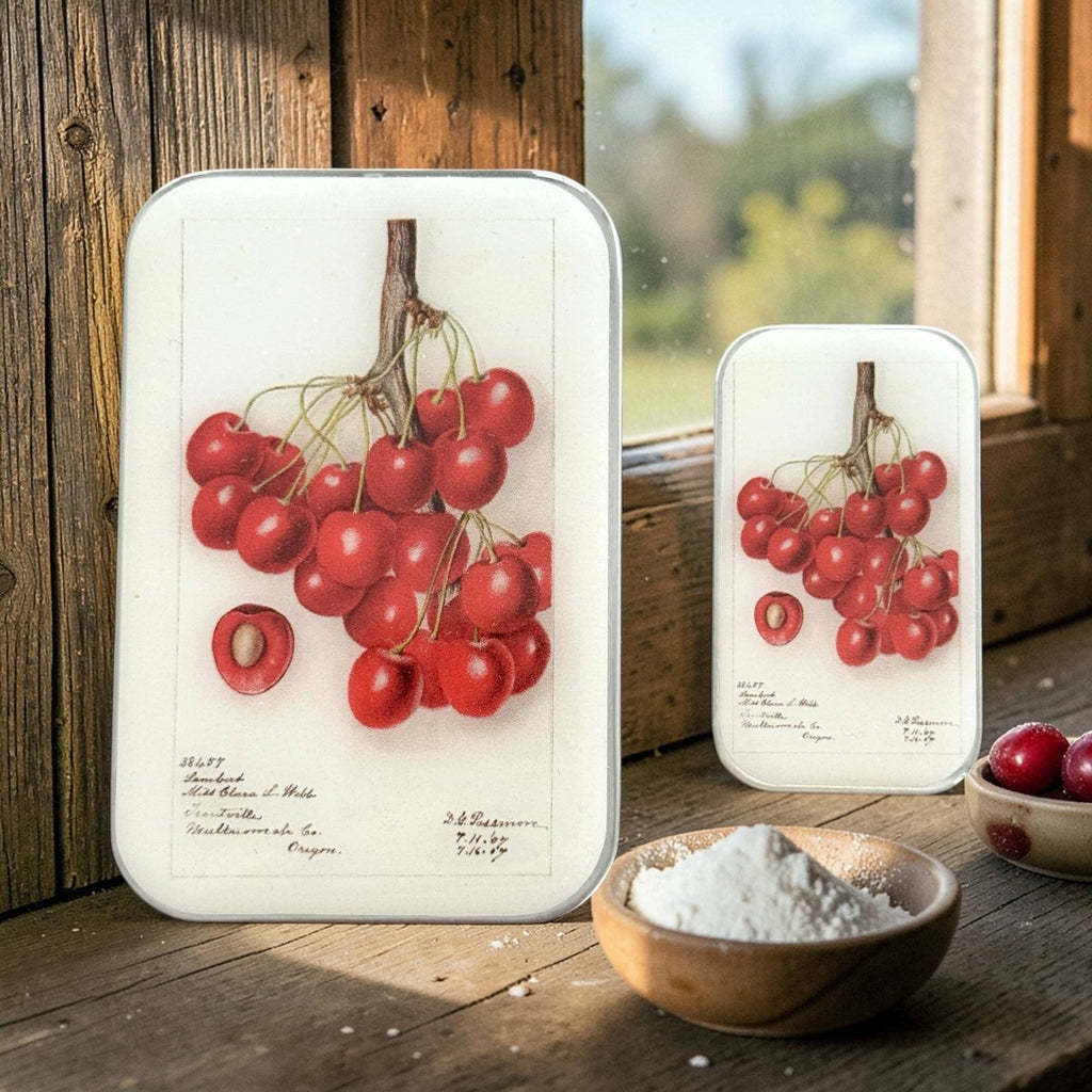 Large Botanical Cherry Notions Tin by Firefly Notes at Wabi Sabi