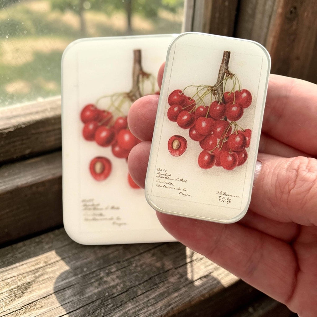 Large Botanical Cherry Notions Tin by Firefly Notes at Wabi Sabi