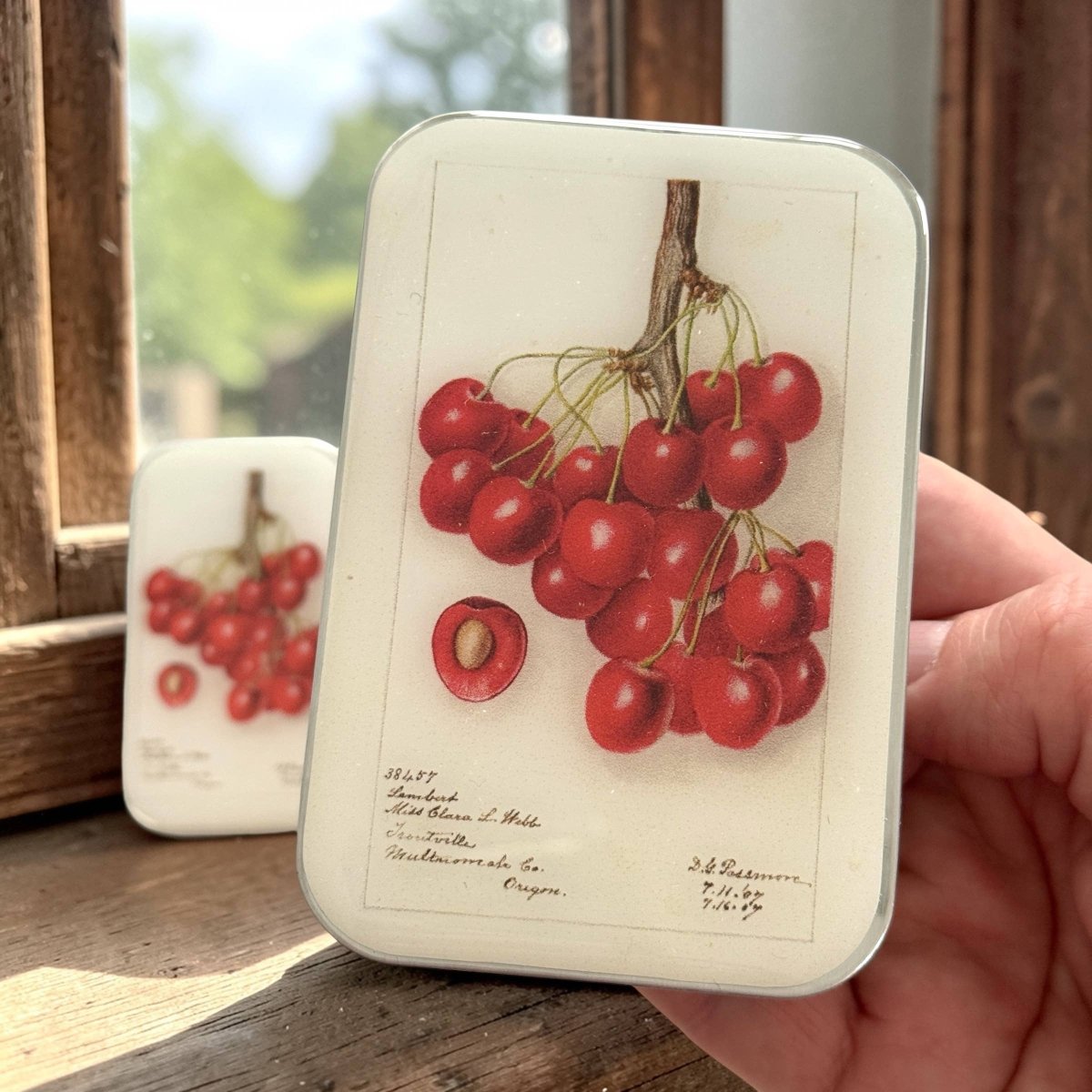 Large Botanical Cherry Notions Tin by Firefly Notes at Wabi Sabi