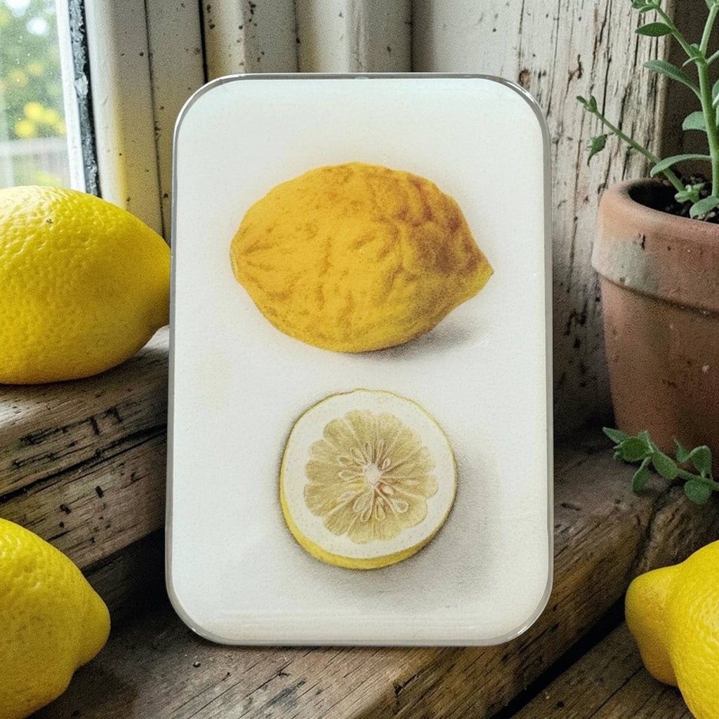 Large Botanical Lemon Notions Tin by Firefly Notes at Wabi Sabi