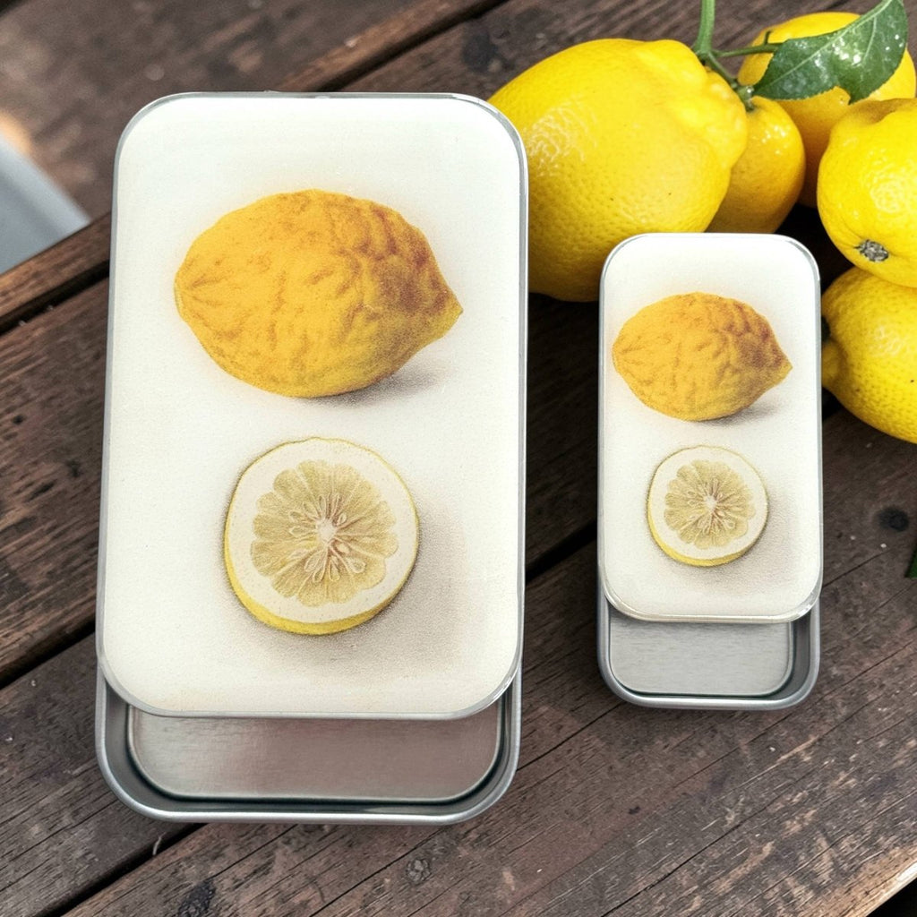 Large Botanical Lemon Notions Tin by Firefly Notes at Wabi Sabi