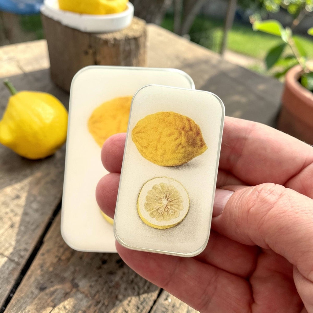 Large Botanical Lemon Notions Tin by Firefly Notes at Wabi Sabi