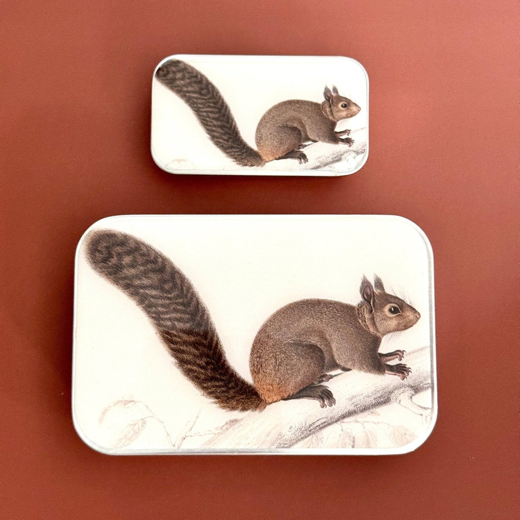 Large Brown Squirrel Notions Tin by Firefly Notes at Wabi Sabi