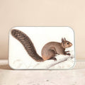 Large Brown Squirrel Notions Tin by Firefly Notes at Wabi Sabi