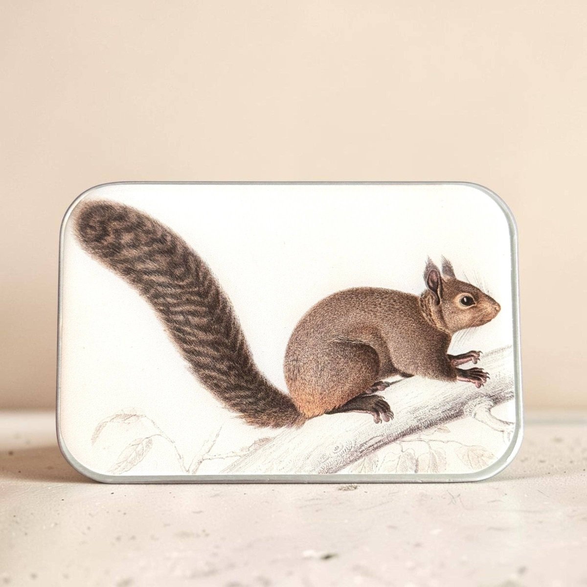 Large Brown Squirrel Notions Tin by Firefly Notes at Wabi Sabi
