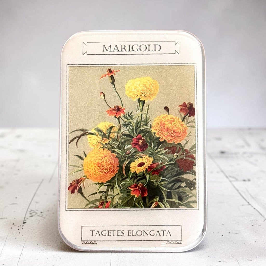 Large Marigold Notions Tin by Firefly Notes at Wabi Sabi