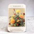 Large Marigold Notions Tin by Firefly Notes at Wabi Sabi