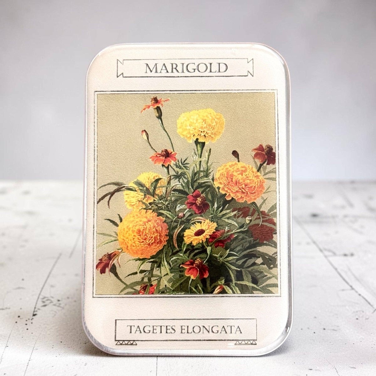 Large Marigold Notions Tin by Firefly Notes at Wabi Sabi