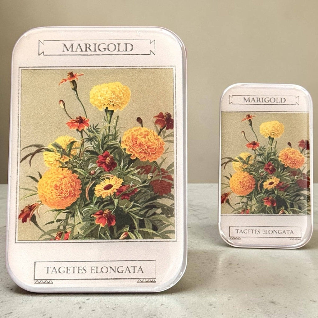 Large Marigold Notions Tin by Firefly Notes at Wabi Sabi