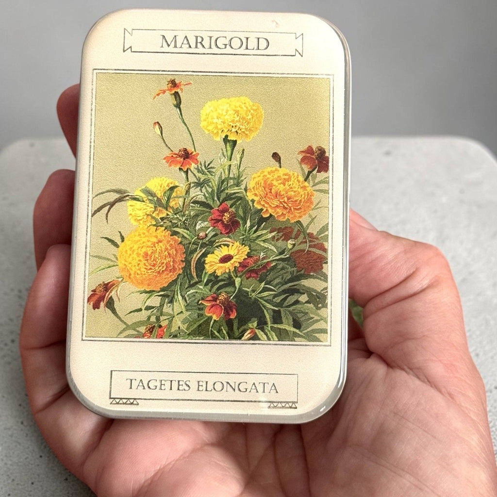 Large Marigold Notions Tin by Firefly Notes at Wabi Sabi