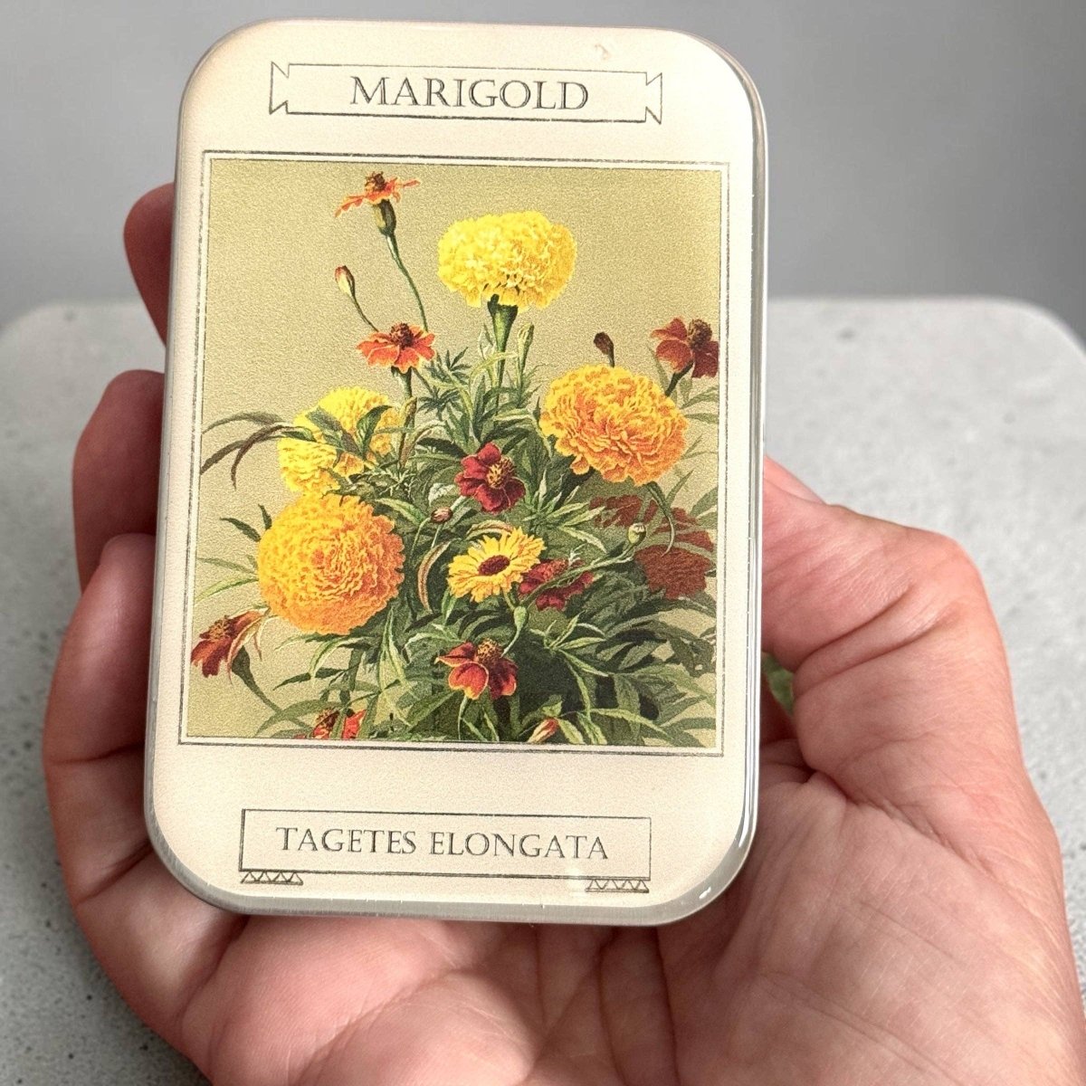 Large Marigold Notions Tin by Firefly Notes at Wabi Sabi