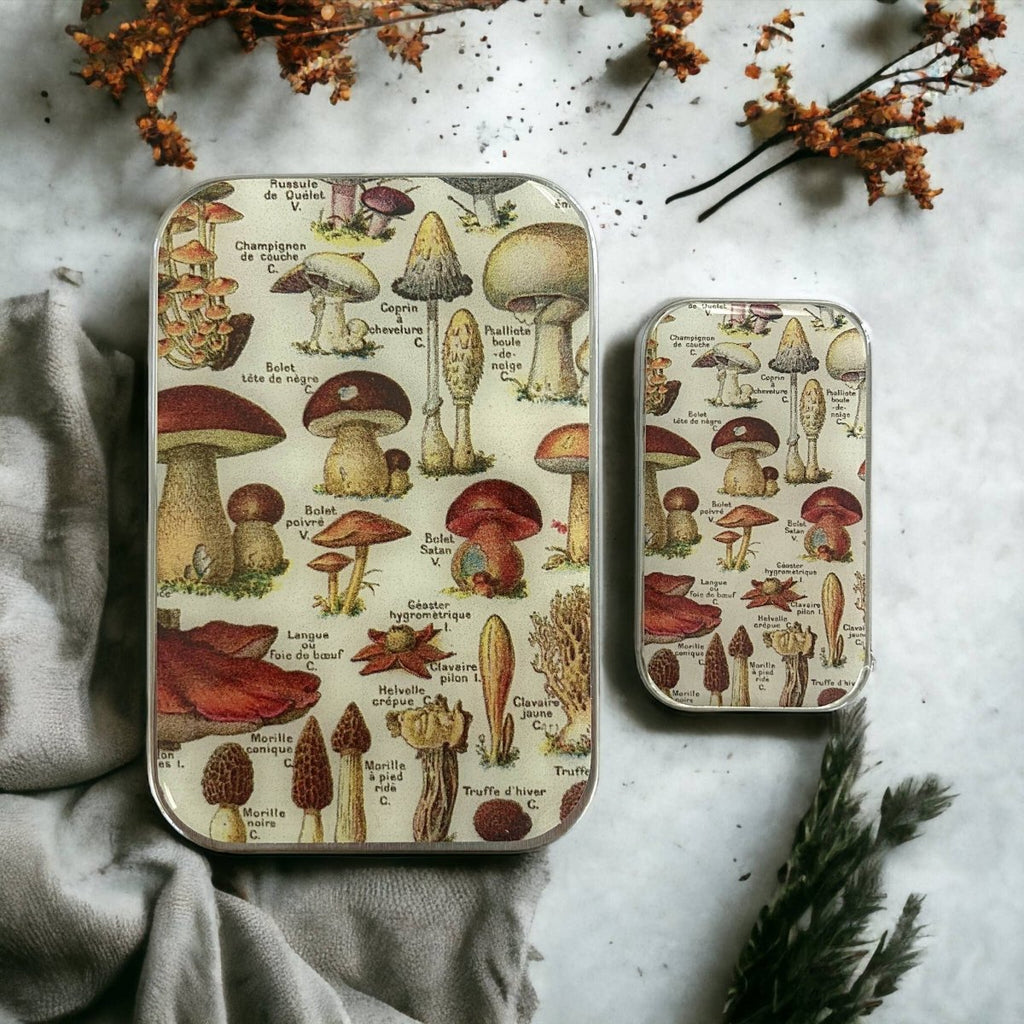 Large Mushroom Notions Tin by Firefly Notes at Wabi Sabi