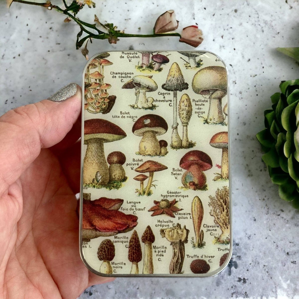 Large Mushroom Notions Tin by Firefly Notes at Wabi Sabi