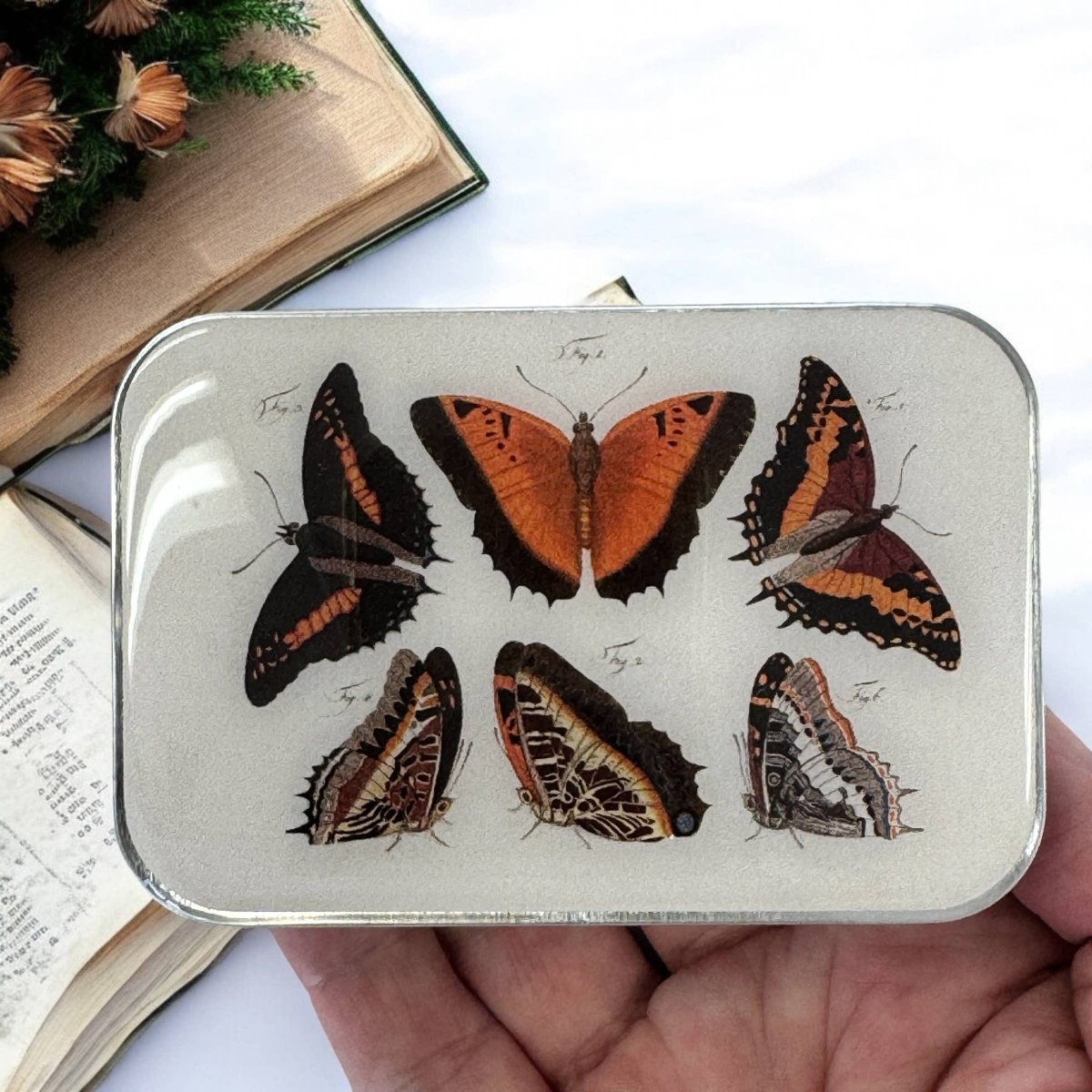 Large Orange Butterflies Notions Tin by Firefly Notes at Wabi Sabi