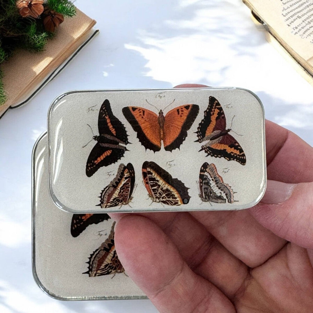 Large Orange Butterflies Notions Tin by Firefly Notes at Wabi Sabi