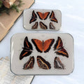 Large Orange Butterflies Notions Tin by Firefly Notes at Wabi Sabi